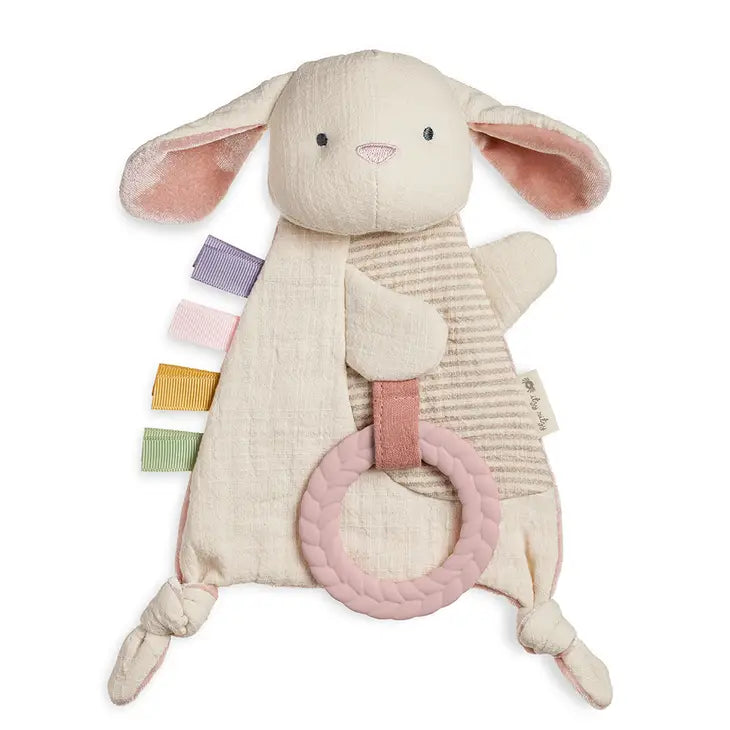 bitzy crinkle Sensory toy with teether