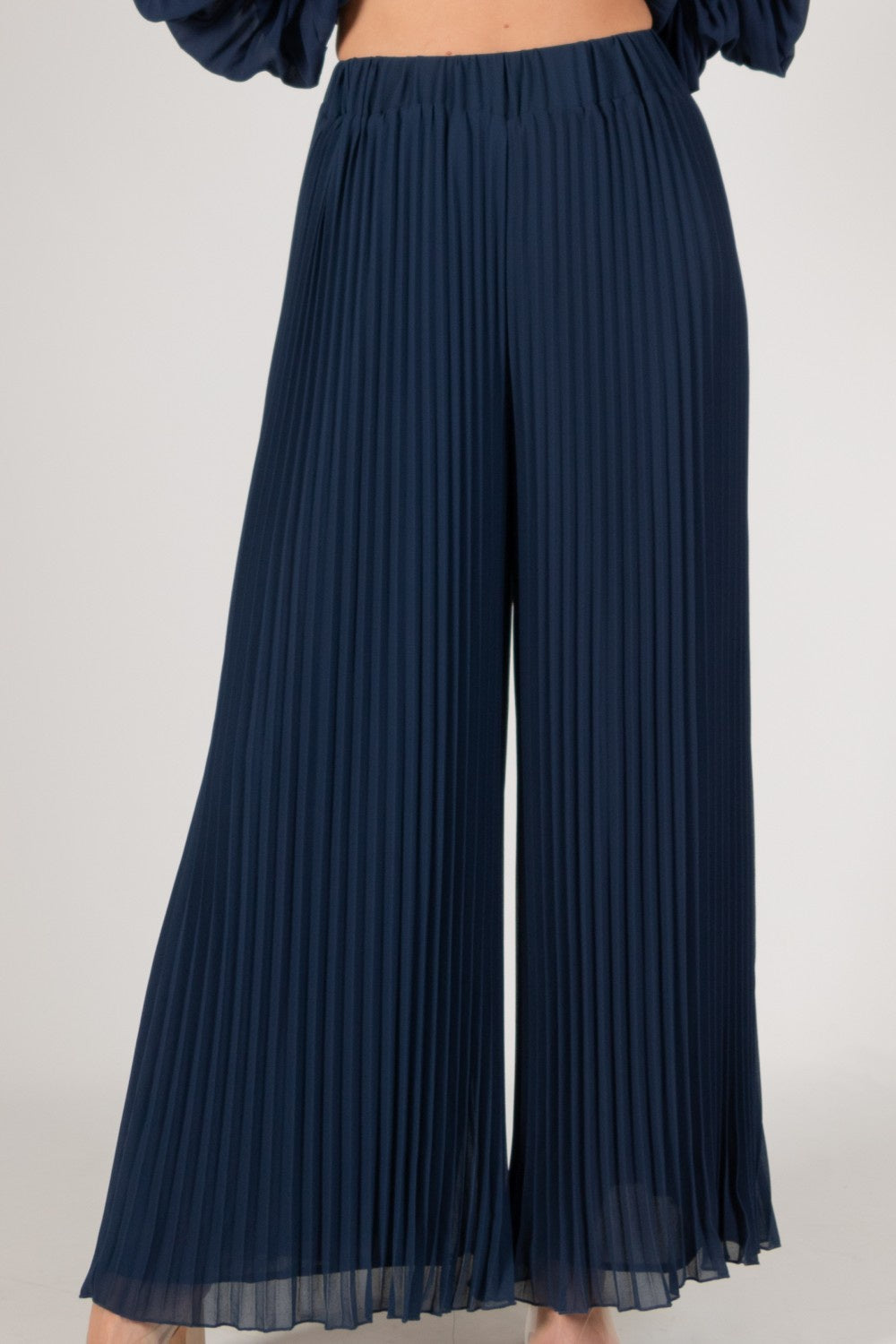 Pleated Navy Pants